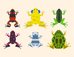 Frog cartoon tropical animal cartoon amphibian mascot character wild vector illustration.