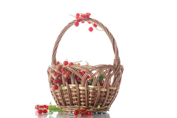 Ripe red currant in a basket