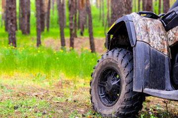 Fototapeta na wymiar ATV Quadbike in a pine forest. Summer time.