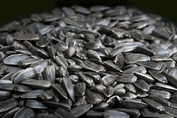 Black sunflower seeds background