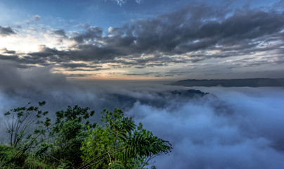 Misty Valley