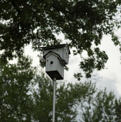 Birdhouse