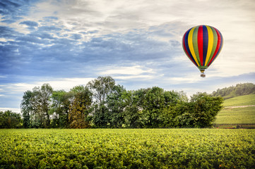Hot air balloon over the vineyard at the sunset. Burgundy . France