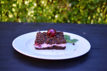 delicious cheesecake with fresh sweet cherries    on a plate