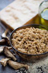 Closeup of a bowl with porcini mushrooms risotto, selective focus, studio shot