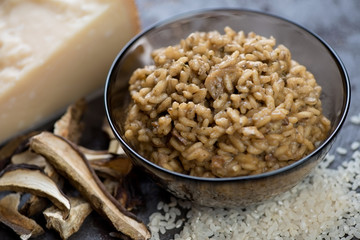 Risotto with ceps and parmesan cheese served in a bowl, closeup, horizontal shot