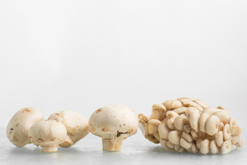 Various kinds of Mushroom. Champignon and Shimeji