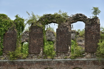 Fototapeta na wymiar Les ruines du château de Charles de Lorraine couverte de végétation au domaine de Mariemont à Morlanwelz 