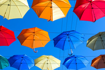  Multicolored umbrellas