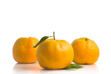 Brazilian Mexerica Pokan or Tangerine
