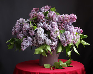 Purple lilac in the jar.