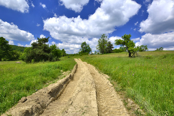 Fototapeta na wymiar polna droga z głębokimi koleinami biegnąca przez łąkę w Beskidzie Niskim