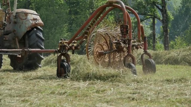 Traktor beim Heu wenden auf dem Feld