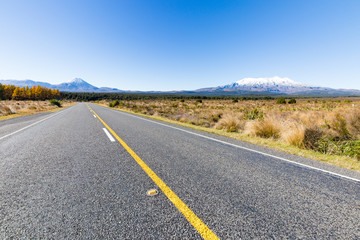 Straße zum Tongariro Nationalpark
