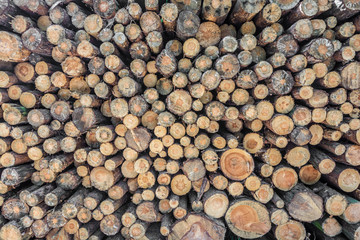 Brennholz als nachwachsender Naturbrennstoff