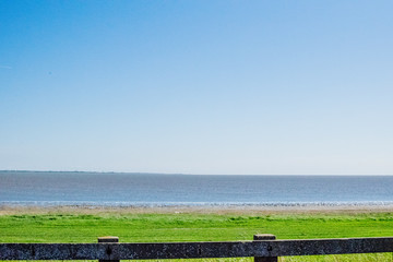 Beautiful green nature in Europe from the road