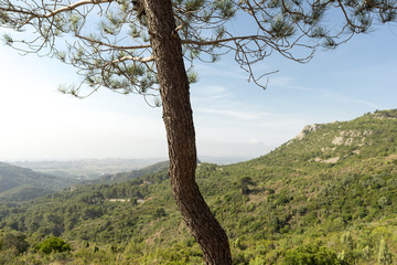 Through the desert of the palms in castellon, spain