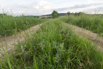 country road