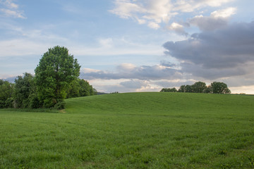 summer landscape