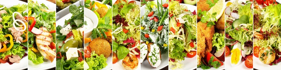 Foto op Plexiglas Voorgerecht Gemengde salades / voorgerechten - panorama