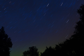 Startrails above silhouette of trees