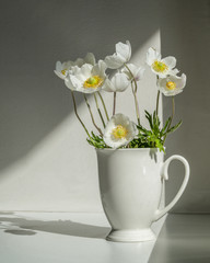Fototapeta na wymiar White anemones in cup