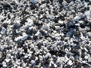 Beach Pebbles