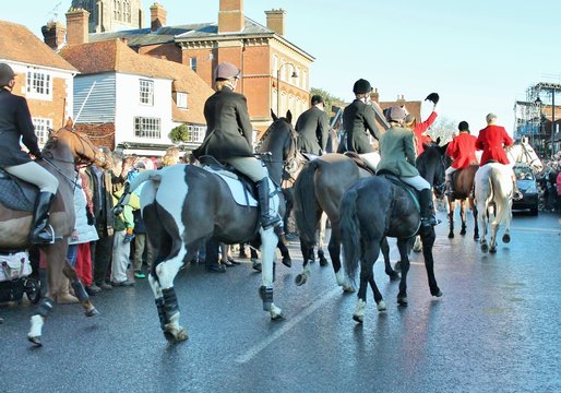 fox hunt start hounds and horses with riders in red coats and jackets at start of hunting stock, photo, photograph, image, picture, 