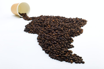 Grains of coffee in the form of mainland South America on a white background, studio light