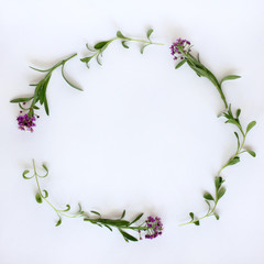 round festive frame/ Flat layout of leaves of lavender and flowers Alyssum top view 