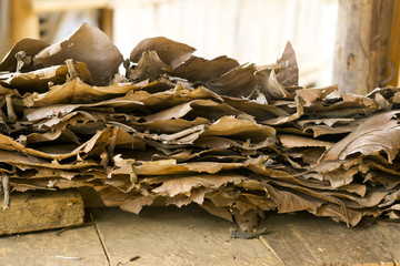 Natürliche Hintergrundstruktur Blätter Holz