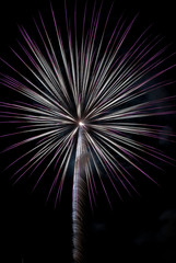 Fireworks light up the sky with dazzling display
