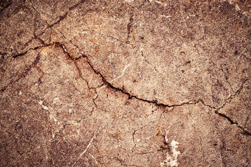 The texture of the old pink plaster