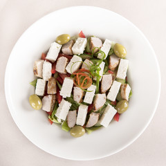 Grilled meat salad, served with parmesan and rucola, isolated on light background, white plate