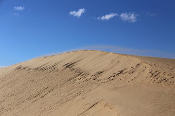 Dunes behind of Barra de Valizas - Uruguay