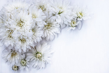 a bouquet of white chrysanthemums on a white background