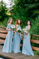 Beautiful cute girls are walking in the park. Three bridesmaids posing for a photographer. Beautiful green background. Nature.