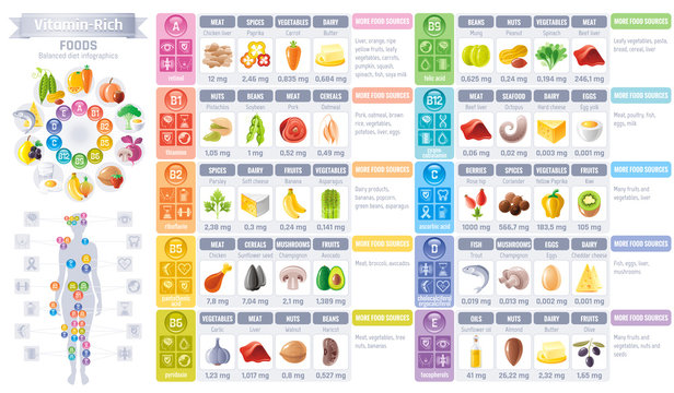 Vitamin rich food icons. Healthy eating vector icon set, text lettering logo, isolated background. Diet Infographics diagram flyer design. Table illustration - meat, vegetarian food, balanced menu