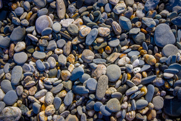 Stones located in West coast, in south island, in New Zealand in a rocky background