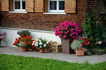 Blumen an einem Haus
