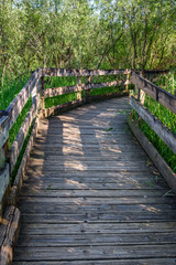 Wide wood boardwalk through a marshy wooded area in the spring

