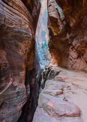 Trail Above Slot Canyon
