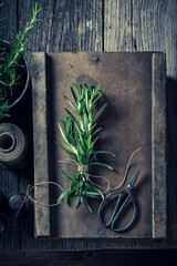 Fresh and intensive rosemary on a wooden box