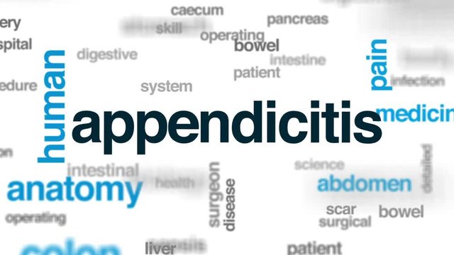 Appendicitis animated word cloud, text design animation.