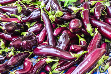  Eggplant or aubergine on Turkey market