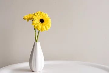 Crédence de cuisine en verre imprimé Gerbera Close up of yellow gerberas in small white vase on table against neutral background