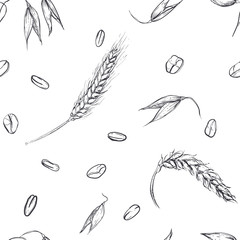 Hand drawn seamless pattern of plant oats, wheat grain. illustration on white background. sketch. vector eps 8