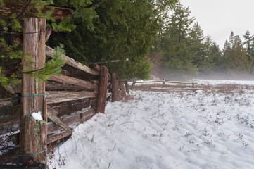 Winter Landscape on Lummi Island. A winter snow storm covers a pasture on an island in the Puget...