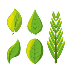 set of natural and ecology icons leaves design vector illustration