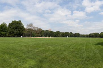 Central Park Baseball 